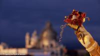 venise Venice-Carnival-Best-Of 72 Carn Golden Flower & Salute.thumb.jpg